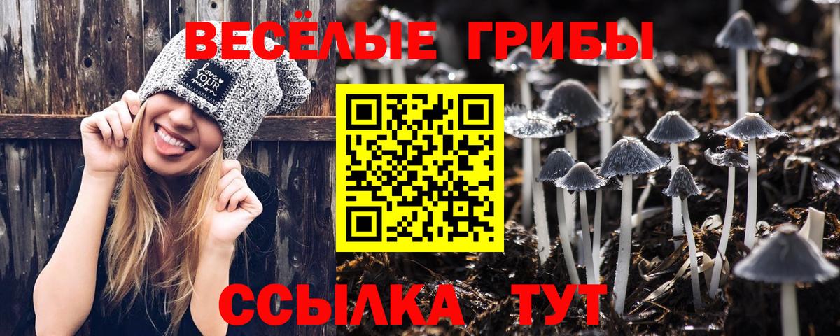 Лабытнанги  Галлюциногенные грибы Psilocybine cubensis  Вход с VPN 